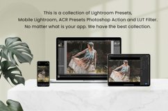 Mori Kei Lightroom Presets Desktop Product Image 3