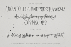 Morissette Script Product Image 10