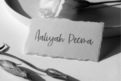 Morissette Script Product Image 6