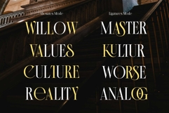 Morside Modern Classic Serif Product Image 11