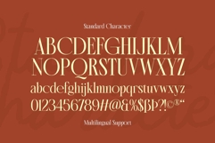 Morside Modern Classic Serif Product Image 12