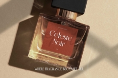 Morside Modern Classic Serif Product Image 5