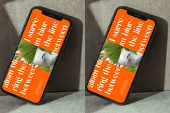 Mosbic - Modern Serif Font Product Image 5