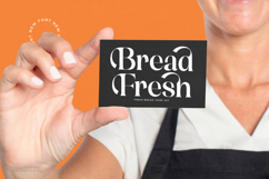 Mosbic - Modern Serif Font Product Image 10