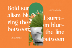 Mosbic - Modern Serif Font Product Image 12
