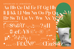 Mosbic - Modern Serif Font Product Image 18