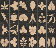 Minimalist German Botanical Restored Images Bundle Product Image 2