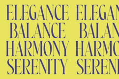 Most Pixels Modern Elegant Serif Product Image 6
