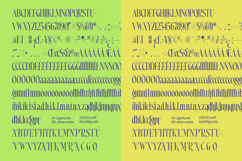 Most Pixels Modern Elegant Serif Product Image 14