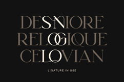 Mosva - Luxury Serif Font Product Image 3