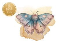 Garden Crawlers Clipart Set - 25 .PNG Files Product Image 4