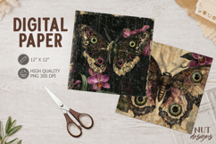 Vintage Moth Journal junk distressed nature background Product Image 1