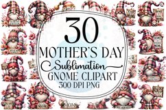 Mother&#039;s Day Gnome Sublimation Bundle Product Image 1