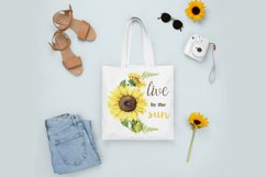 Sunflower bundle png Product Image 2