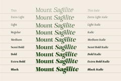 Mount Sagilite Modern Serif Family Typeface Product Image 10