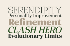 Mount Sagilite Modern Serif Family Typeface Product Image 12