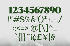 Mount Sagilite Modern Serif Family Typeface Product Image 4