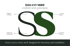 Mount Sagilite Modern Serif Family Typeface Product Image 5