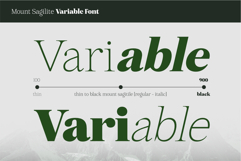 Mount Sagilite Modern Serif Family Typeface Product Image 6