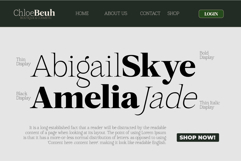 Mount Sagilite Modern Serif Family Typeface Product Image 8