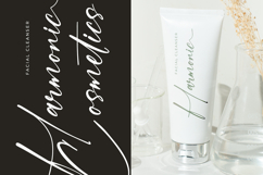 Mountain Heritages - Stylish Signature Font Product Image 12