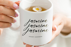 Mountain Heritages - Stylish Signature Font Product Image 16