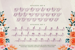 Mountleaf Typeface Product Image 13