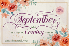 Mountleaf Typeface Product Image 7