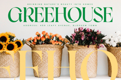 Moves Cabse - Modern Serif Display Font Product Image 4