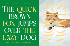 Moves Cabse - Modern Serif Display Font Product Image 7