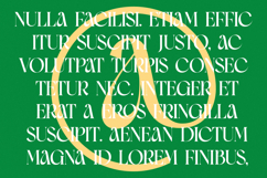 Moves Cabse - Modern Serif Display Font Product Image 11