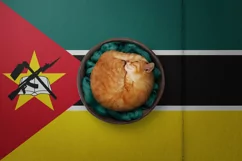 Backgrounds for Photography & Marketing. Mozambique Product Image 8
