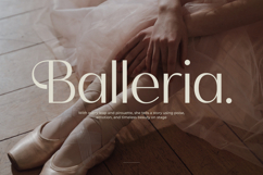 Mozani - Elegant Sans Serif Font Product Image 6