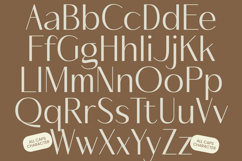 Mozani - Elegant Sans Serif Font Product Image 14