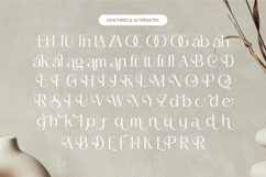 Mozani - Elegant Sans Serif Font Product Image 18