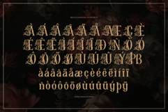 Mozathia | Decorative Display Font Product Image 11