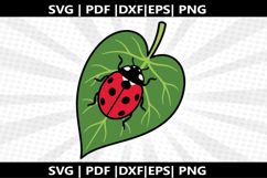 Ladybug Leaf cricut Silhouette,kids Shirt ,Cut Product Image 2