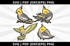 Cockato cricut Silhouette,kids Shirt Product Image 1