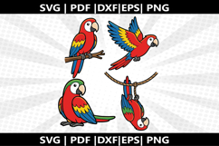 Macaw cricut Silhouette,kids Shirt Product Image 1