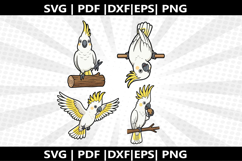 Cockato cricut Silhouette,kids Shirt Product Image 1