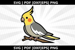 Cockato cricut Silhouette,kids Shirt Product Image 2