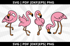 Flamigo cricut Silhouette,kids Shirt Product Image 1