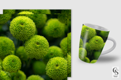 Green Pom Pom Flowers Digital Paper Product Image 5