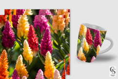 Colorful Celosia Flowers Digital Papers Product Image 2