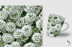 White Alyssum Flowers Digital Paper Product Image 5