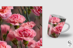 Pink Carnation Flowers Digital Papers Product Image 2
