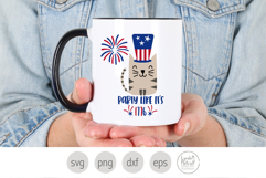 Party Like it's 1776 Cat. Kitty for America's 250th Product Image 3