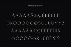 Murise Luxury Elegant Serif Font Product Image 8