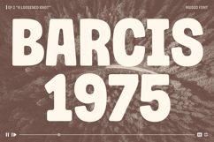 Musgo | Soft Rounded Sans-Serif Product Image 7