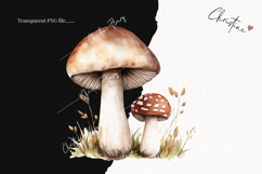 Cozy Fall Mushroom PNG Product Image 2